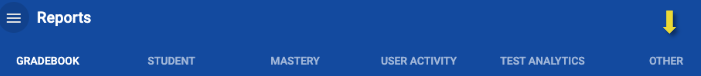 Reports menu sub-tabs - Other on far right.