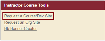 Select the first link in the Instructor Course Tools module