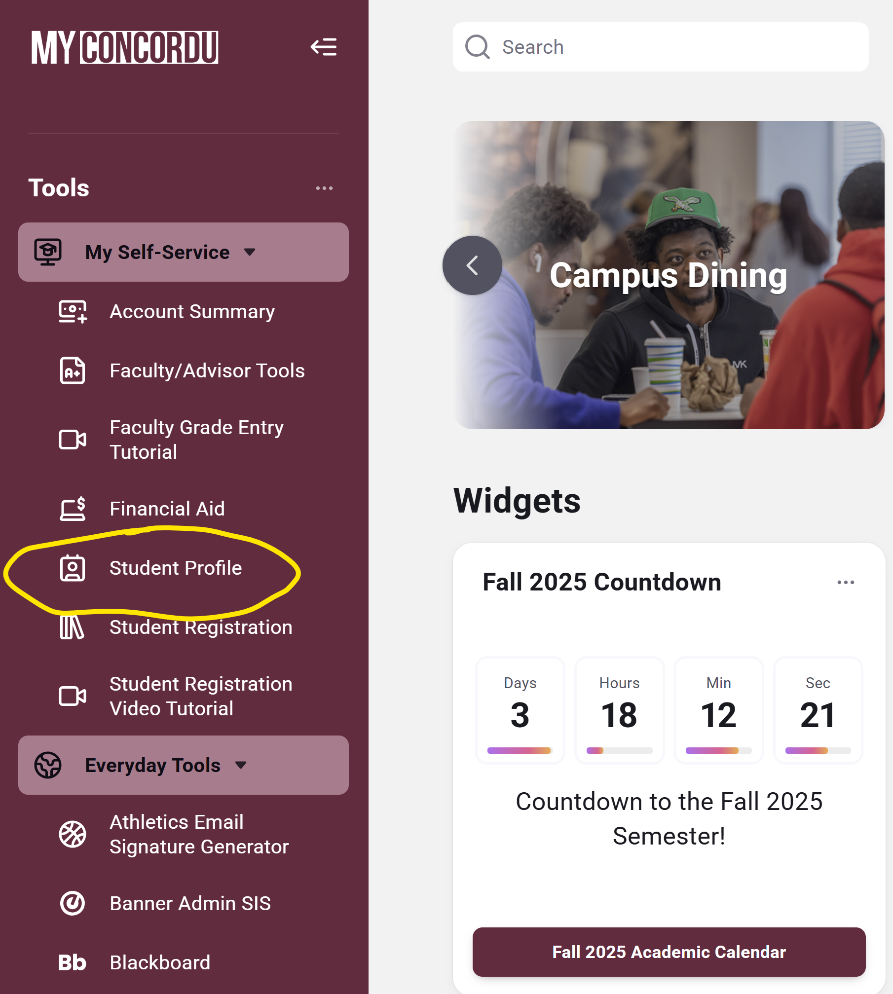 A screenshot of the MyConcordU menu with Student Profile circled