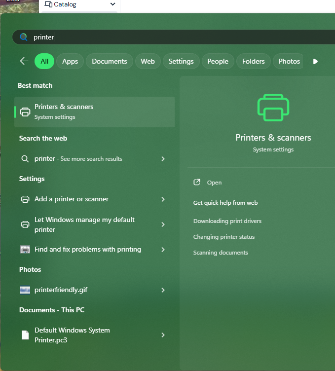 Screenshot of printers and scanners option