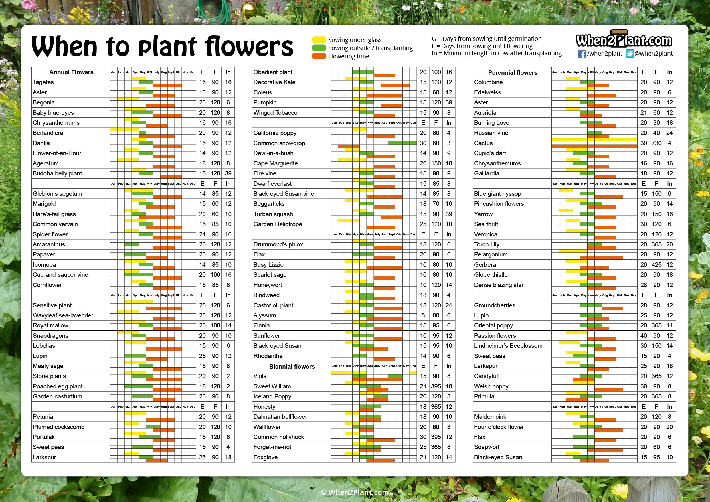 Flower Vegetable Temperature Guide Farmer s Friend LLC