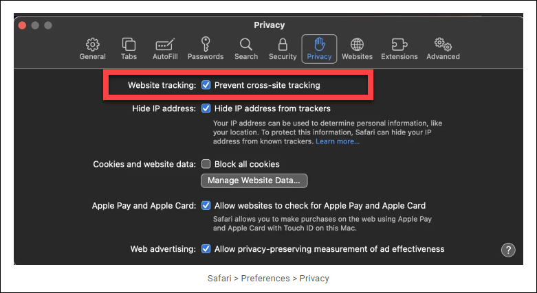 Safari Privacy Settings
