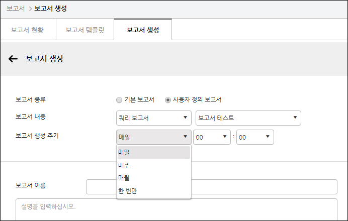사용자 정의 보고서 설정