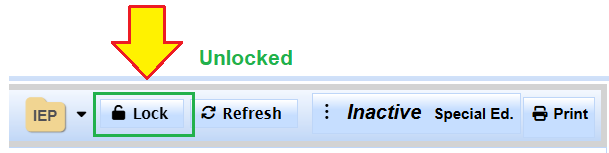Lock control displayed after the MIS Summary has been unlocked
